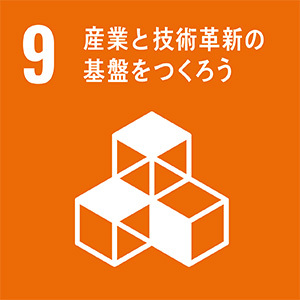 9．産業と技術革新の基盤をつくろう